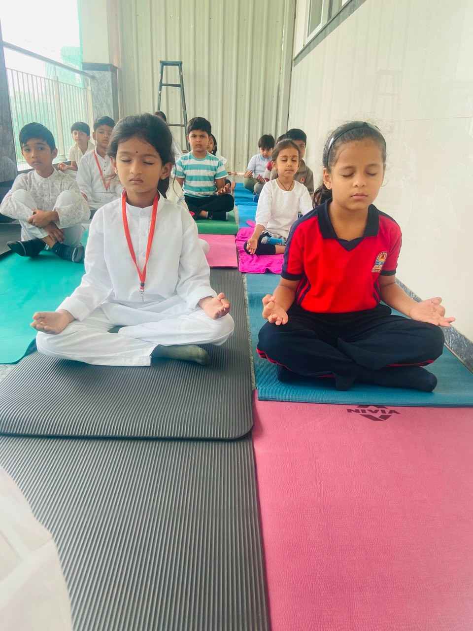 The 12th International Yoga Day Observes in RVK - Hulimangala (3)